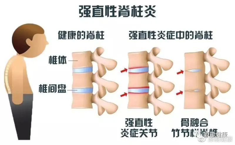 第3336页