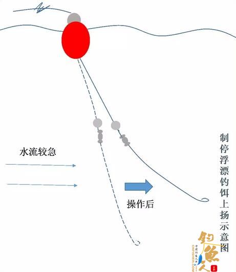 最新钓法,最新钓法，探索与实践