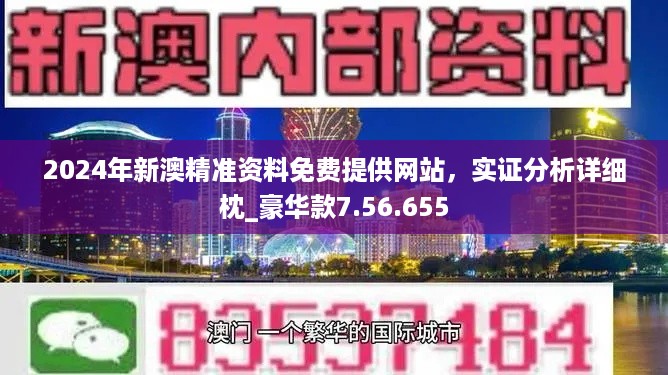 澳门精准正版资料63期,澳门精准正版资料解析，第63期的独特视角