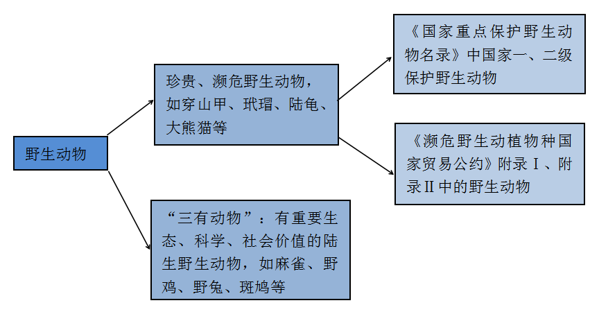 7777788888马会传真,探索数字奥秘，马会传真与数字世界中的7777788888