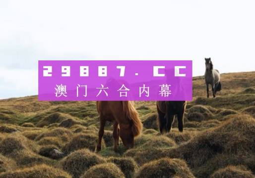 新澳门开奖结果,新澳门开奖结果的影响与探索