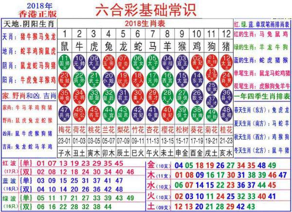 2024新澳门正版免费资料生肖卡,探索新澳门正版免费资料生肖卡的奥秘与魅力