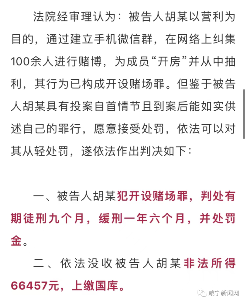 新澳门彩天天开奖资料一,新澳门彩天天开奖资料一，犯罪与法律的博弈