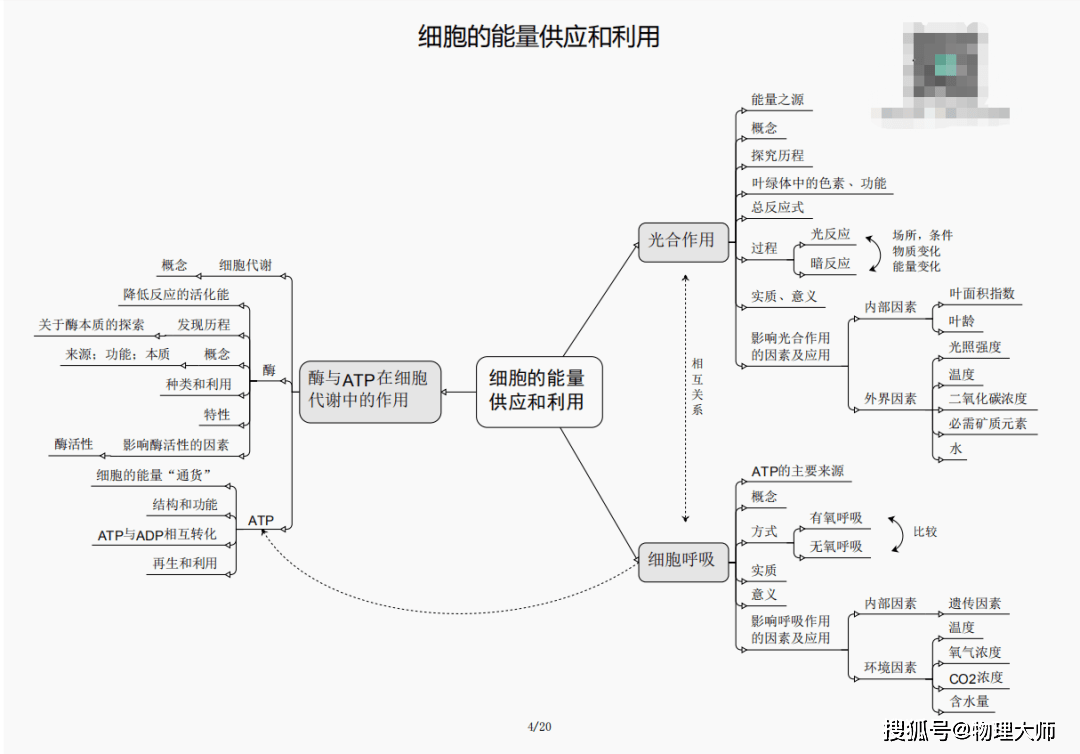 白小姐三肖三期必出一期开奖虎年,白小姐三肖三期必出一期开奖——虎年的神秘预言