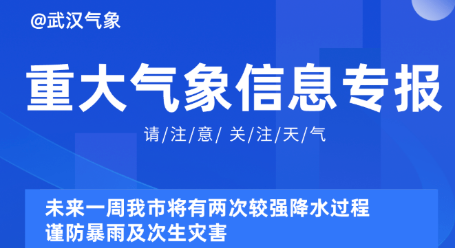 2025新奥资料免费精准175,探索未来，2025新奥资料免费精准共享平台（175）