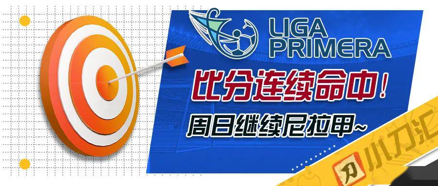 2025新奥资料免费精准096期 14-47-09-02-42-21T：31,探索未来之门，关于新奥资料免费精准第096期的深度解析与探索